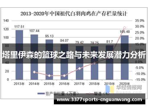 塔里伊森的篮球之路与未来发展潜力分析