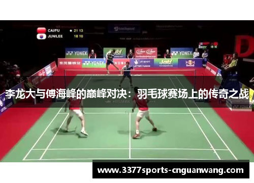 李龙大与傅海峰的巅峰对决：羽毛球赛场上的传奇之战