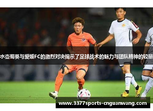 水壶蜀葵与爱媛FC的激烈对决揭示了足球战术的魅力与团队精神的较量